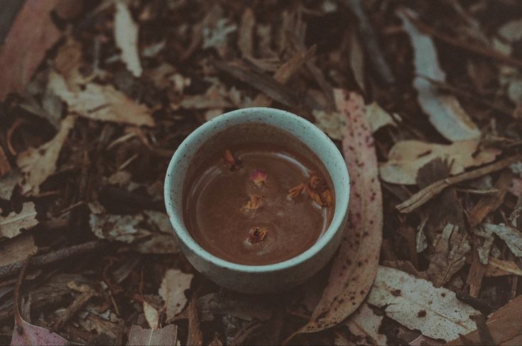 Ceremonial Cacao | Ecuadorian Heirloom