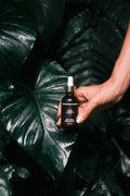 Holy Cacao Ritual Body Oil