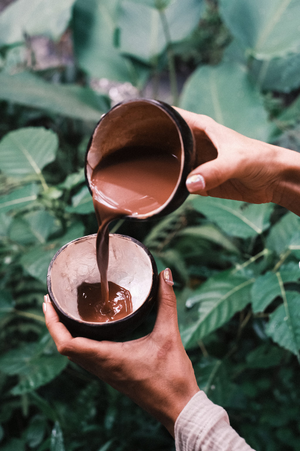 Ceremonial Cacao | Ecuadorian Heirloom