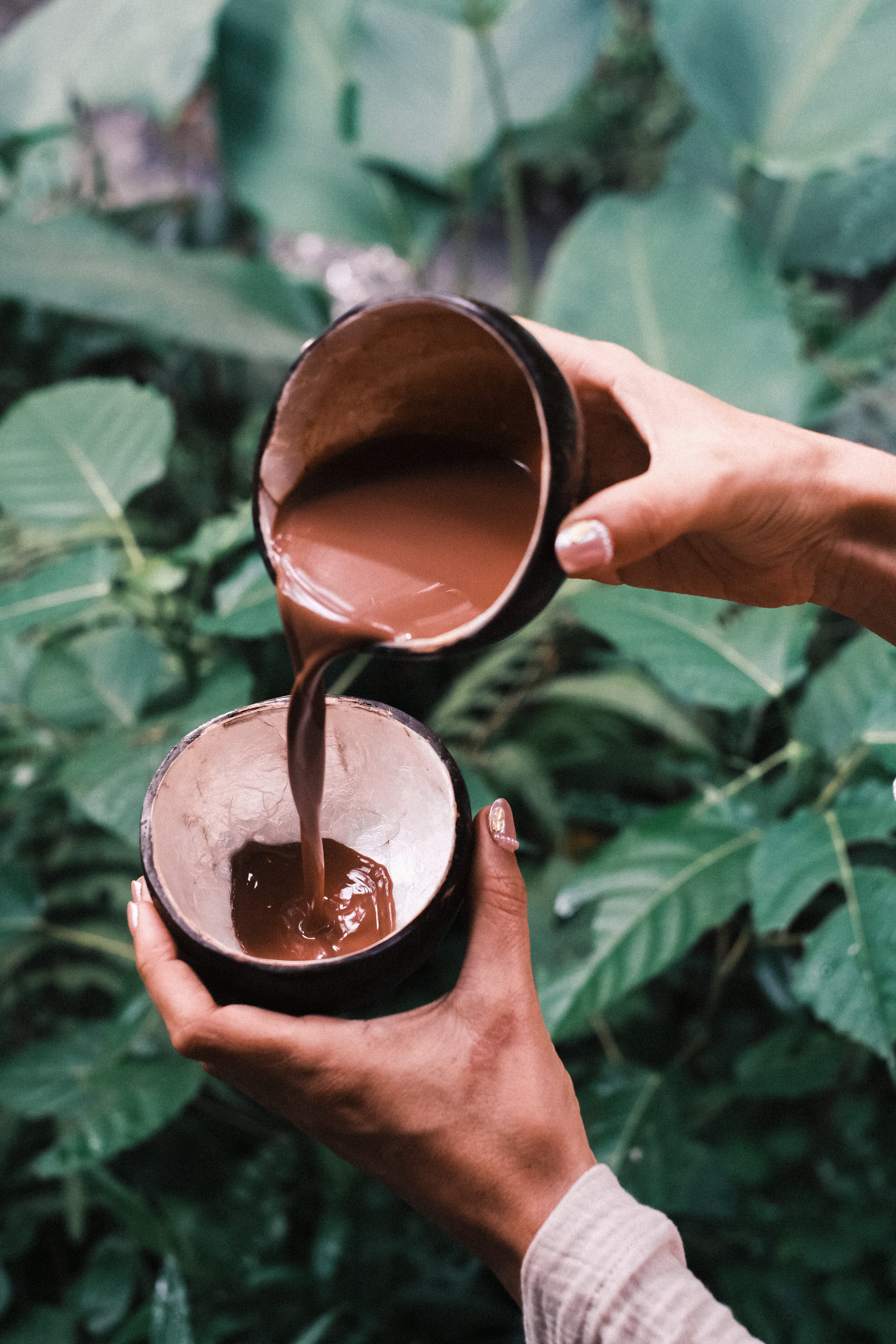 Ceremonial Cacao | Ecuadorian Heirloom