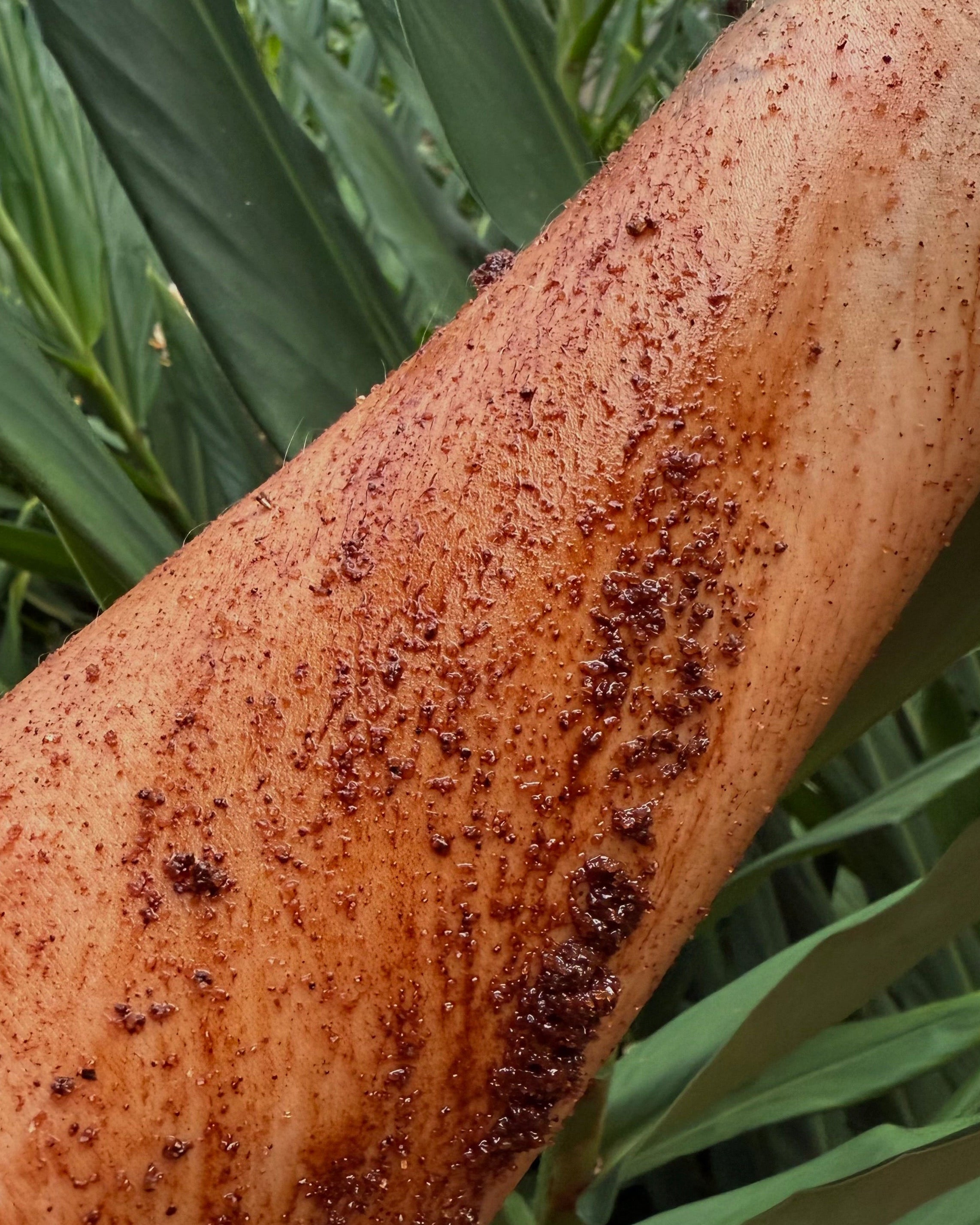 Cacao Ritual Body Scrub
