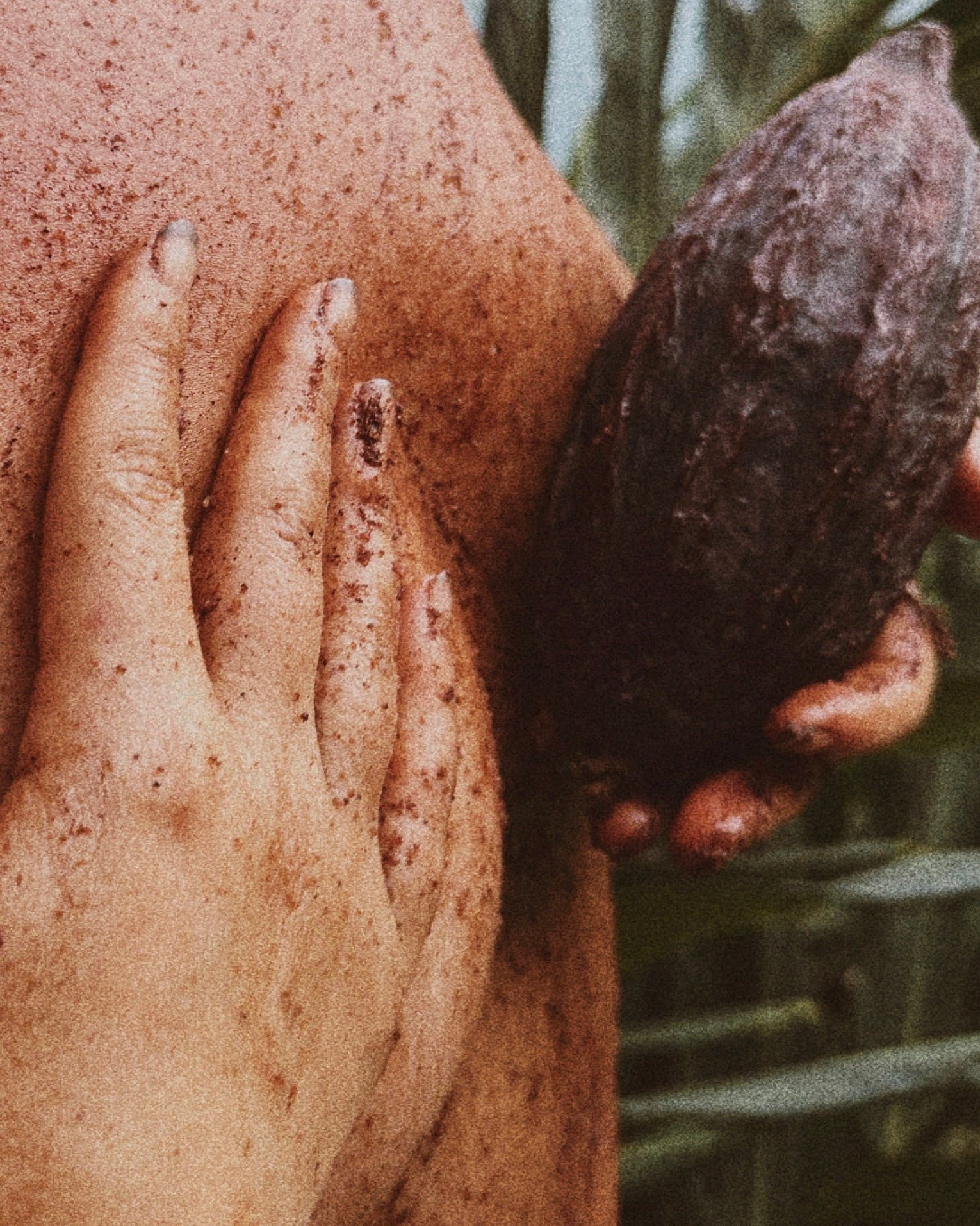 Cacao Ritual Body Scrub