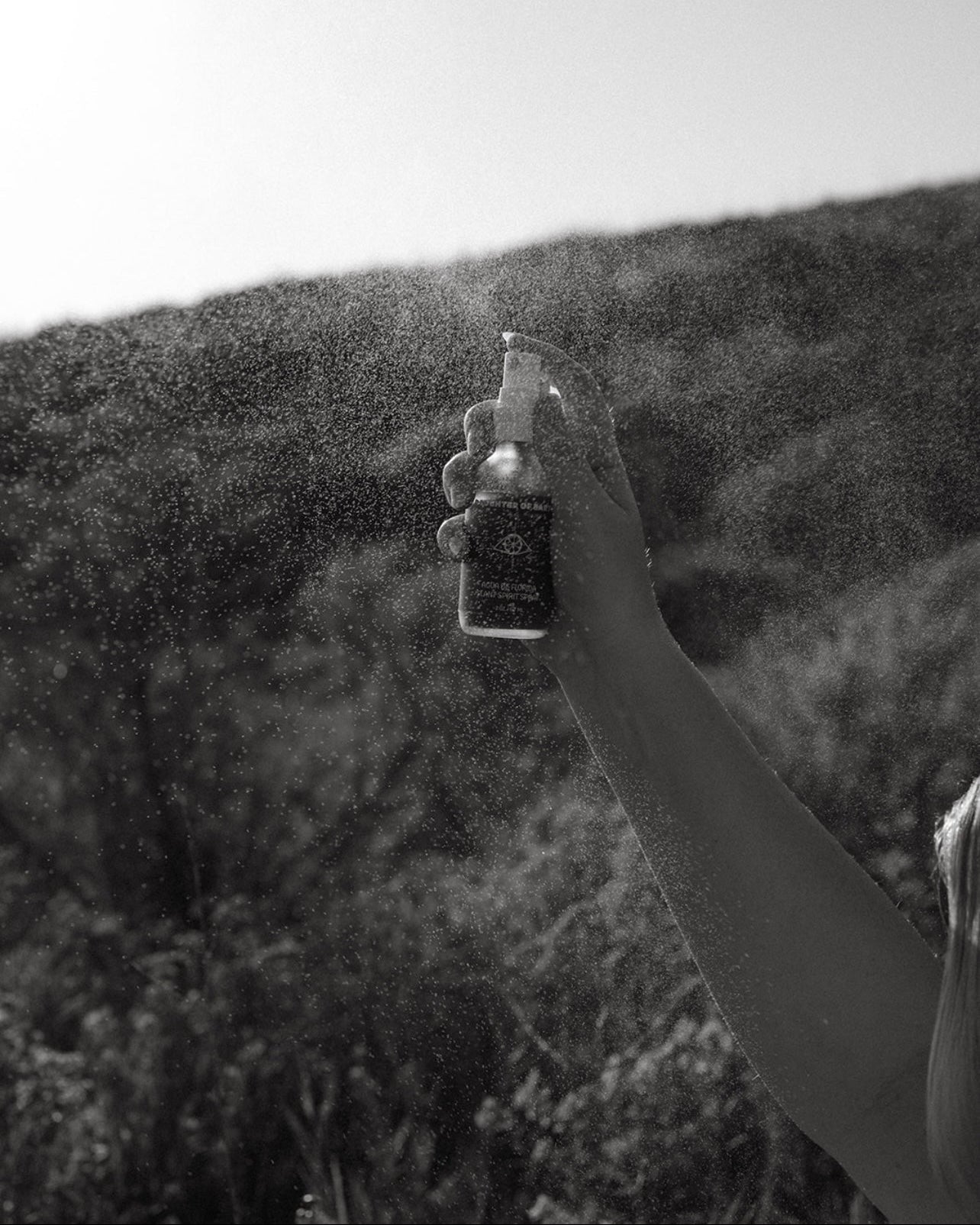 Agua de Florida | Plant Spirit Spray